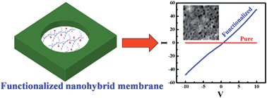 Graphical abstract: A poly(vinylidene fluoride-co-hexafluoro propylene) nanohybrid membrane using swift heavy ion irradiation for fuel cell applications