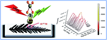 Graphical abstract: Sensing trace arsenate by surface enhanced Raman scattering using a FeOOH doped dendritic Ag nanostructure