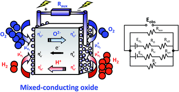 Graphical abstract: Methodology for the study of mixed transport properties of a Zn-doped SrZr0.9Y0.1O3−δ electrolyte under reducing conditions