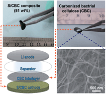Graphical abstract: Flexible cathodes and multifunctional interlayers based on carbonized bacterial cellulose for high-performance lithium–sulfur batteries