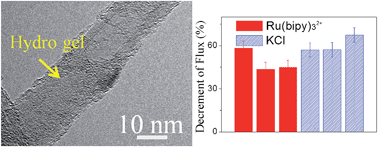 Graphical abstract: Declined ionic flux through the nano-pores of vertically aligned carbon nanotubes filled with PNIPAm hydrogel