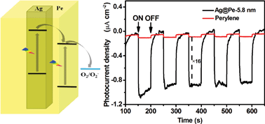 Graphical abstract: Plasmon enhanced photocurrent in strongly coupled Ag@perylene core–shell nanowires