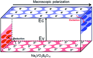 Graphical abstract: Efficient photocatalytic dechlorination of chlorophenols over a nonlinear optical material Na3VO2B6O11 under UV-visible light irradiation