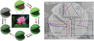 Graphical abstract: Composite of hierarchical interpenetrating 3D hollow carbon skeleton from lotus pollen and hexagonal MnO2 nanosheets for high-performance supercapacitors