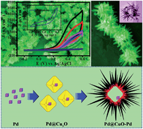 Graphical abstract: Urchin-like Pd@CuO–Pd yolk–shell nanostructures: synthesis, characterization and electrocatalysis