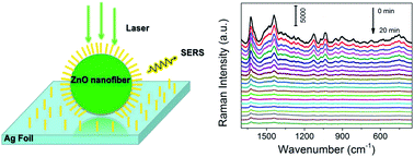 Graphical abstract: Fabrication of a highly sensitive surface-enhanced Raman scattering substrate for monitoring the catalytic degradation of organic pollutants