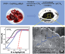 Graphical abstract: Effects of structural disorder and nitrogen content on the oxygen reduction activity of polyvinylpyrrolidone-derived multi-doped carbon