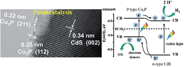 Graphical abstract: Copper phosphide modified cadmium sulfide nanorods as a novel p–n heterojunction for highly efficient visible-light-driven hydrogen production in water