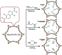 Graphical abstract: Homodiamine-functionalized metal–organic frameworks with a MOF-74-type extended structure for superior selectivity of CO2 over N2