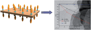 Graphical abstract: Controllable synthesis of Bi4O5Br2 ultrathin nanosheets for photocatalytic removal of ciprofloxacin and mechanism insight