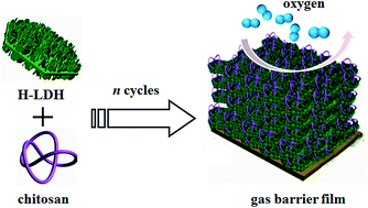 Graphical abstract: Remarkable oxygen barrier films based on a layered double hydroxide/chitosan hierarchical structure