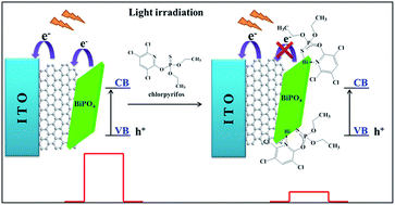 Graphical abstract: One-pot synthesis of BiPO4 functionalized reduced graphene oxide with enhanced photoelectrochemical performance for selective and sensitive detection of chlorpyrifos