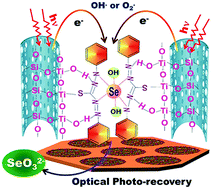 Graphical abstract: Photo-induced recovery, optical detection, and separation of noxious SeO32− using a mesoporous nanotube hybrid membrane