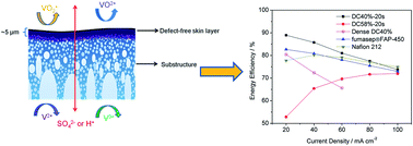 Graphical abstract: An integrally thin skinned asymmetric architecture design for advanced anion exchange membranes for vanadium flow batteries