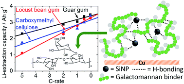 Graphical abstract: Galactomannan binding agents for silicon anodes in Li-ion batteries