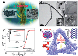 Graphical abstract: Sustainable seaweed-based one-dimensional (1D) nanofibers as high-performance electrocatalysts for fuel cells