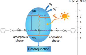 Graphical abstract: Heterojunctions between amorphous and crystalline niobium oxide with enhanced photoactivity for selective aerobic oxidation of benzylamine to imine under visible light