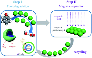 Graphical abstract: Magnetic titanium dioxide based nanomaterials: synthesis, characteristics, and photocatalytic application in pollutant degradation