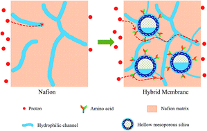 Graphical abstract: Fabrication of hybrid membranes by incorporating acid–base pair functionalized hollow mesoporous silica for enhanced proton conductivity