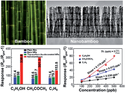 Graphical abstract: Vertically ordered SnO2 nanobamboos for substantially improved detection of volatile reducing gases