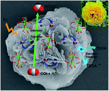 Graphical abstract: Hierarchical metal–organic framework nanoflowers for effective CO2 transformation driven by visible light