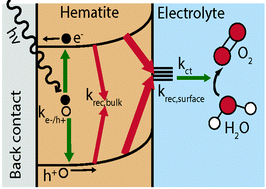 Graphical abstract: The rise of hematite: origin and strategies to reduce the high onset potential for the oxygen evolution reaction