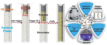 Graphical abstract: Facile access to versatile hydrogels via interface-directed frontal polymerization derived from the magnetocaloric effect