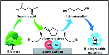 Graphical abstract: Tuning the catalytic selectivity in biomass-derived succinic acid hydrogenation on FeOx-modified Pd catalysts