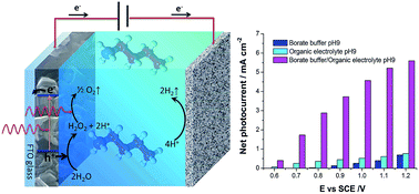 Graphical abstract: Enhanced photo-electrochemical water oxidation on MnOx in buffered organic/inorganic electrolytes