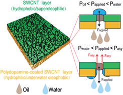 Graphical abstract: An ultrathin bilayer membrane with asymmetric wettability for pressure responsive oil/water emulsion separation