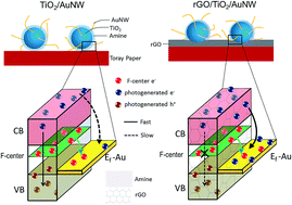 Graphical abstract: Ultrathin Au nanowires supported on rGO/TiO2 as an efficient photoelectrocatalyst