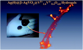 Graphical abstract: Composite β-AgVO3@V1.65+V0.44+O4.8 hydrogels and xerogels for iodide capture