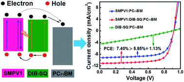 Graphical abstract: Efficient small molecular ternary solar cells by synergistically optimized photon harvesting and phase separation