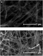 Graphical abstract: Carbon supported Ru clusters prepared by pyrolysis of Ru precursor-impregnated biopolymer fibers