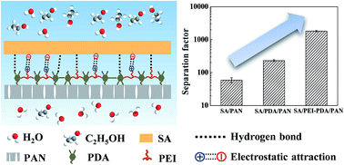 Graphical abstract: Manipulating the interfacial interactions of composite membranes via a mussel-inspired approach for enhanced separation selectivity