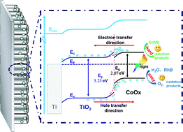 Graphical abstract: Direct evidence of the efficient hole collection process of the CoOx cocatalyst for photocatalytic reactions: a surface photovoltage study