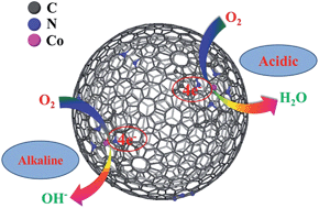 Graphical abstract: Porous cobalt–nitrogen-doped hollow graphene spheres as a superior electrocatalyst for enhanced oxygen reduction in both alkaline and acidic solutions