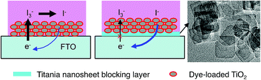 Graphical abstract: Self-assembled ultrathin titania nanosheets as blocking layers for significantly enhanced photocurrent and photovoltage of dye-sensitized solar cells