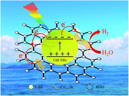 Graphical abstract: Enhanced photocatalytic H2-evolution by immobilizing CdS nanocrystals on ultrathin Co0.85Se/RGO–PEI nanosheets