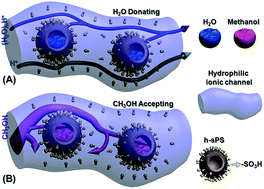 Graphical abstract: A “H2O donating/methanol accepting” platform for preparation of highly selective Nafion-based proton exchange membranes