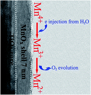 Graphical abstract: Manganese oxides supported on hydrogenated TiO2 nanowire array catalysts for the electrochemical oxygen evolution reaction in water electrolysis