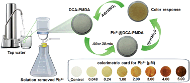 Graphical abstract: Simultaneous visual detection and removal of lead(ii) ions with pyromellitic dianhydride-grafted cellulose nanofibrous membranes