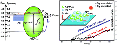 Graphical abstract: Draining the photoinduced electrons away from an anode: the preparation of Ag/Ag3PO4 composite nanoplate photoanodes for highly efficient water splitting
