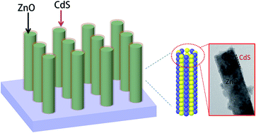 Graphical abstract: Scaffolding an ultrathin CdS layer on a ZnO nanorod array using pulsed electrodeposition for improved photocharge transport under visible light illumination