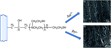 Graphical abstract: Adsorption characteristics of noble metal ions onto modified straw bearing amine and thiol groups