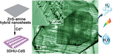 Graphical abstract: Hierarchical ultrathin-branched CdS nanowire arrays with enhanced photocatalytic performance