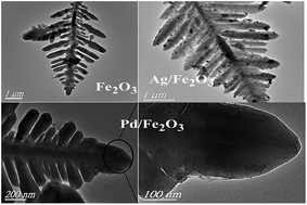 Graphical abstract: Natural carbon nanodots assisted development of size-tunable metal (Pd, Ag) nanoparticles grafted on bionic dendritic α-Fe2O3 for cooperative catalytic applications