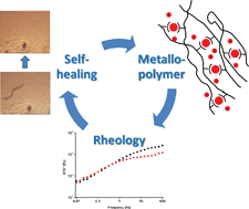 Graphical abstract: Correlation between scratch healing and rheological behavior for terpyridine complex based metallopolymers