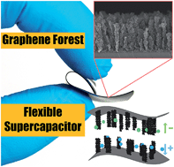 Graphical abstract: A flexible supercapacitor based on vertically oriented ‘Graphene Forest’ electrodes