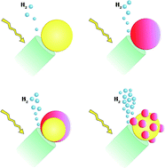 Graphical abstract: The golden gate to photocatalytic hydrogen production